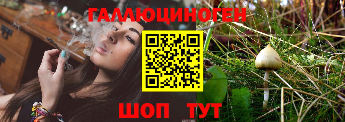 Избербаш  Галлюциногенные грибы Psilocybe  где можно купить наркотик  Вход с VPN 
